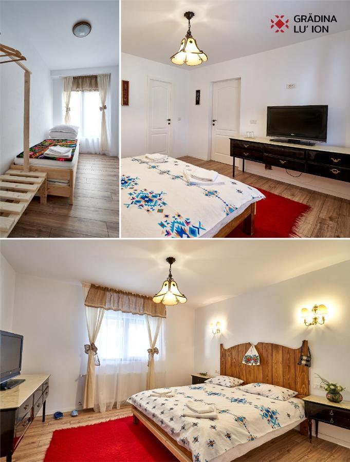 Gradina Lu' Ion "A Home Away From Home" (Adults Only) Vişeu de Sus Exteriér fotografie