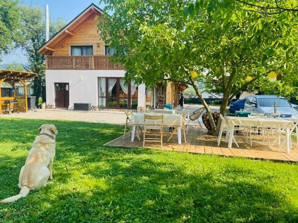Gradina Lu' Ion "A Home Away From Home" (Adults Only) Vişeu de Sus Exteriér fotografie