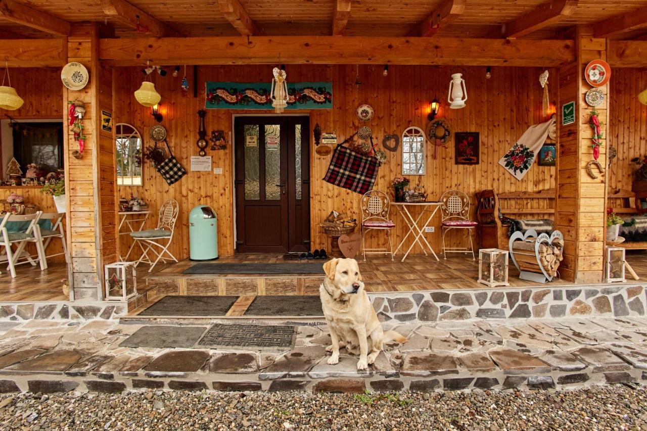 Gradina Lu' Ion "A Home Away From Home" (Adults Only) Vişeu de Sus Exteriér fotografie