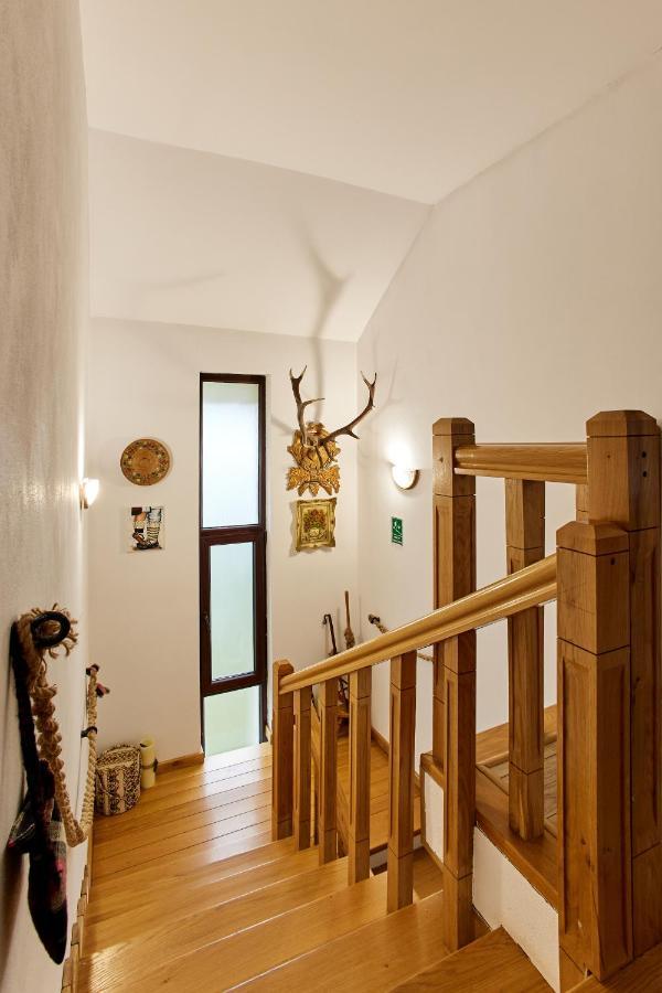 Gradina Lu' Ion "A Home Away From Home" (Adults Only) Vişeu de Sus Exteriér fotografie