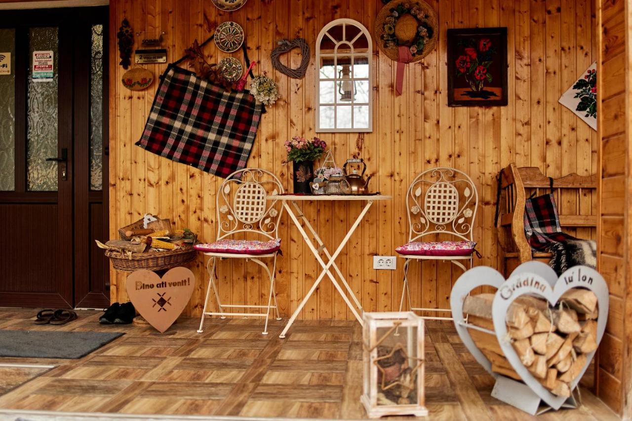 Gradina Lu' Ion "A Home Away From Home" (Adults Only) Vişeu de Sus Exteriér fotografie