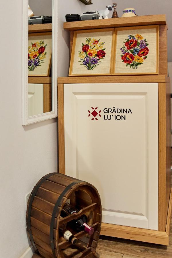 Gradina Lu' Ion "A Home Away From Home" (Adults Only) Vişeu de Sus Exteriér fotografie