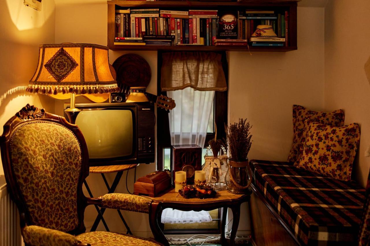 Gradina Lu' Ion "A Home Away From Home" (Adults Only) Vişeu de Sus Exteriér fotografie