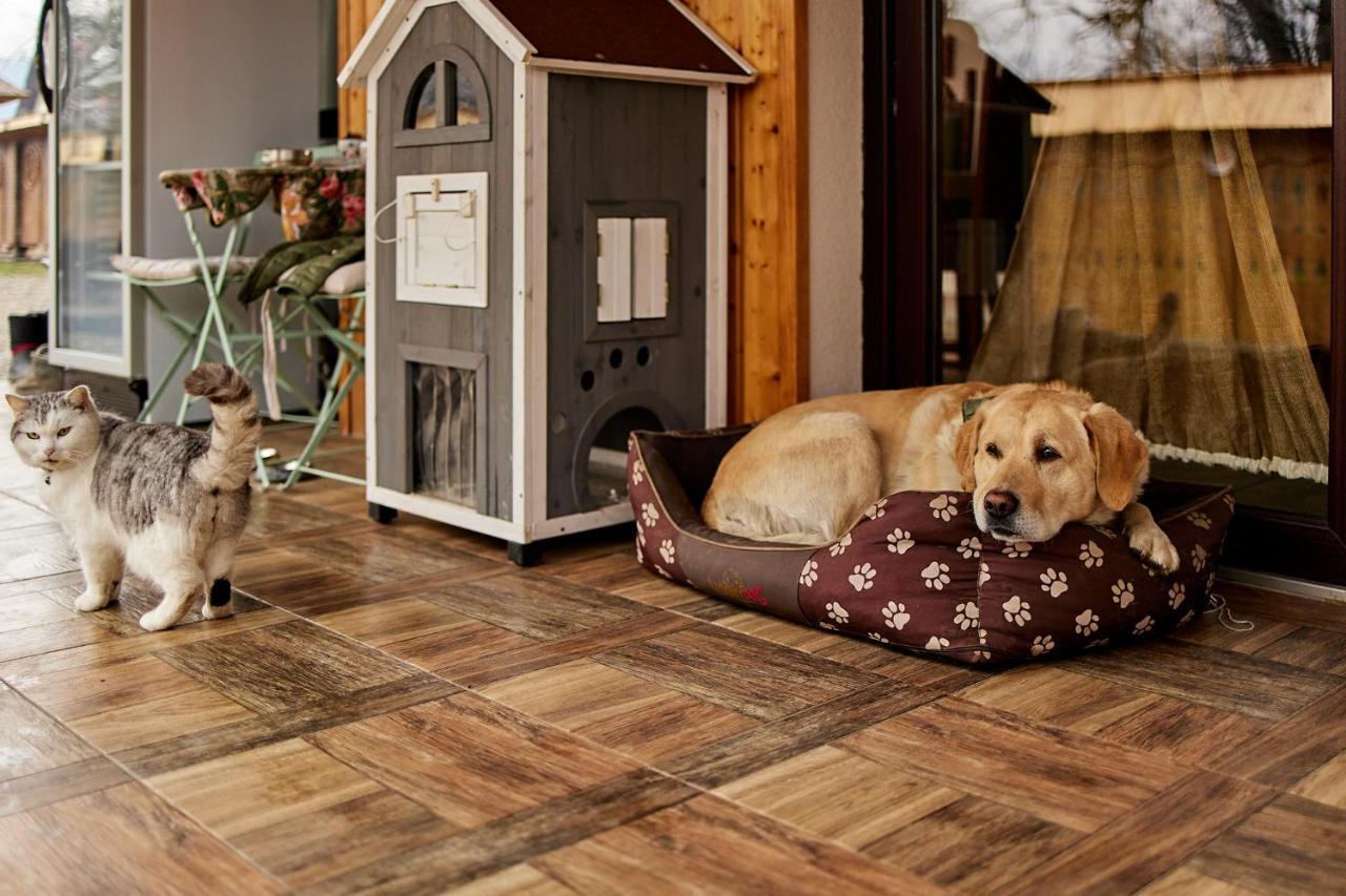 Gradina Lu' Ion "A Home Away From Home" (Adults Only) Vişeu de Sus Exteriér fotografie